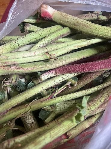 батва рес: Чукуру 6 штук 100 сом — 1