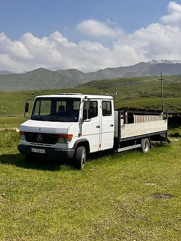 814 d: Mercedes-Benz Vario: 2002 г., 4.3 л, Дизель, Фургон — 1