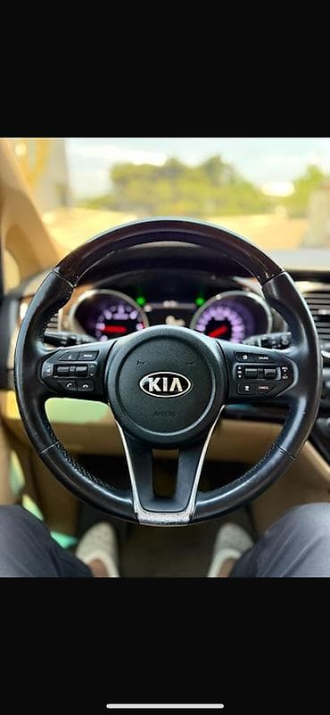 Kia Carnival: 2019 г., 2.2 л, Автомат, Дизель, Минивэн — 8