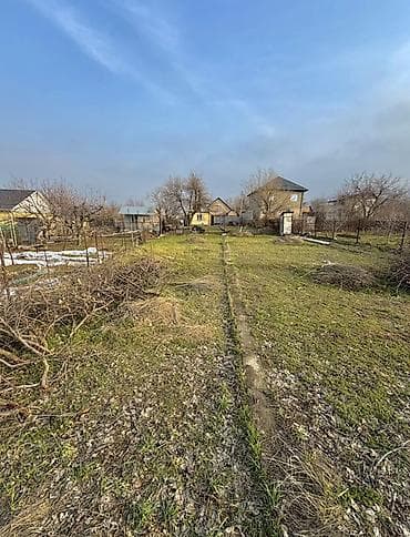 5 соток, Курулуш, Кызыл китеп — 1