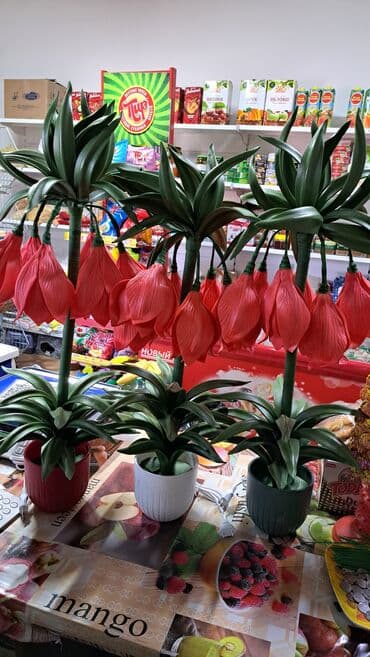 купить люцерну семена: Лилиялар — 7