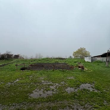 45: 15 соток, Красная книга — 2