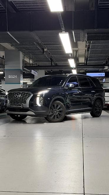 Hyundai Palisade: 2019 г., 2.2 л, Автомат, Дизель, Кроссовер