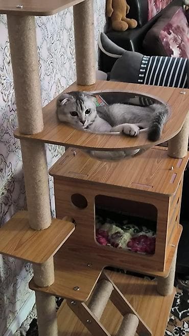 Игровые комплексы: Игровой комплекс для кошек многоуровневый - Несколько ярусов для — 2