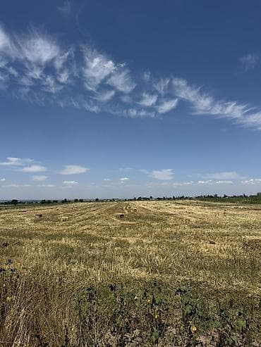 Недвижимость: 220 соток, Для сельского хозяйства, Договор купли-продажи — 10