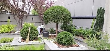 пос: 📌Все услуги по саду 📌Садовник со стажем ✂️Стрижки профессиональные — 4