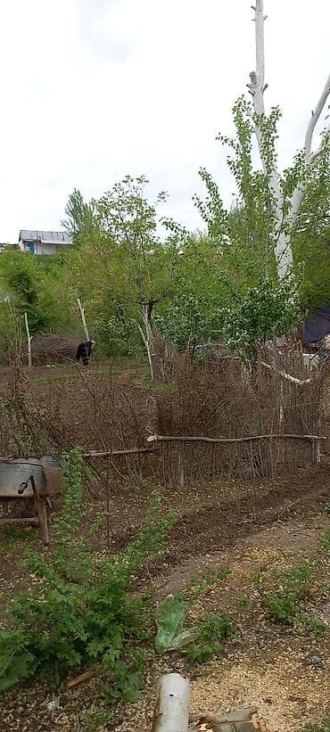 nice house: Дом с большим навесным крыльцом и участком - Одноэтажный дом с белым — 6