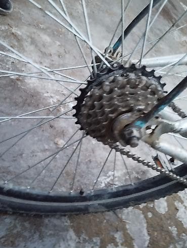 audi q8: Продам велосипед. Состояние нормальное, рама целая. Заднее колесо — 2