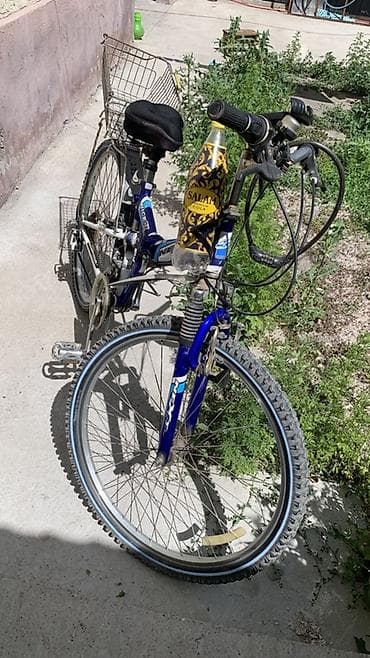 fixed gear: Городской велосипед, Рама L (172 - 185 см), Новый — 1