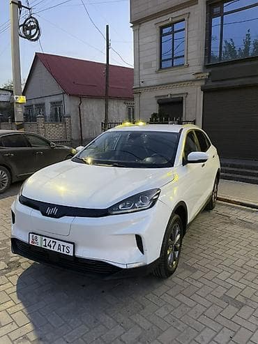 эшик б у: Weltmeister EX5, 2021 г., 85000 км, Алдыңкы, Бар — 3