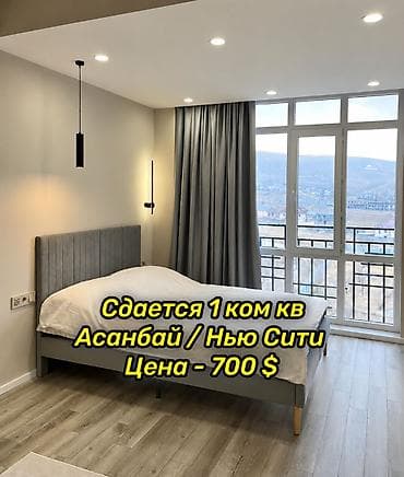 алис: 1 комната, Собственник — 1