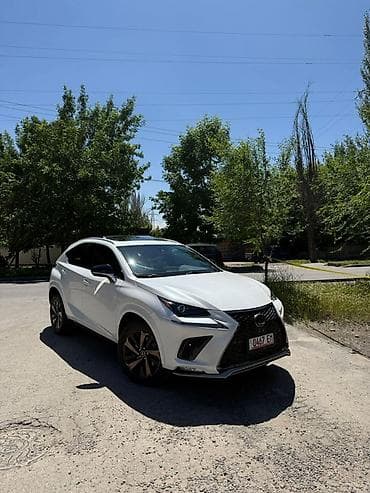eclipse cross: Lexus NX: 2020 г., 2 л, Автомат, Бензин, Кроссовер — 3
