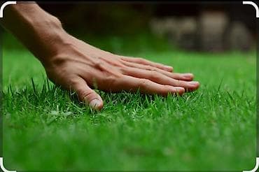 контролер: Профессиональное устройство и обслуживание газонов - Создание газона — 1