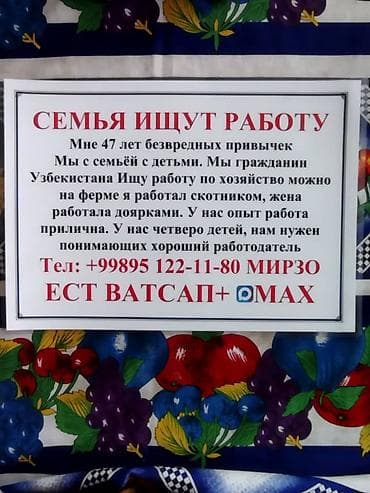 биржа работа: Семья ищет работу по хозяйству/на ферме. Мужчина, 47 лет, без вредных — 1