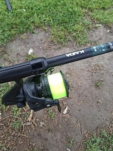 сом рыба: Карповый комплект для донной ловли Состав: - 2 карповые удилища на — 5