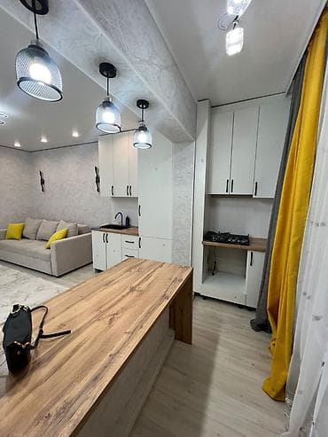 1 комната, 26 м², Элитка, 1 этаж, Евроремонт