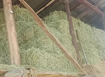 Беде пресс сатылат. Ош мады айылында