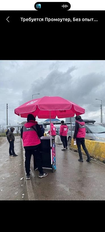 Промоутеры: Требуется Промоутер, Без опыта, Подработка, График: Гибкий график, Обучение — 3