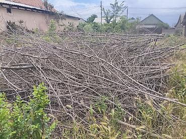 колода: Отдам даром дрова и ветки . условие вывоз полностью всего с ветками — 2