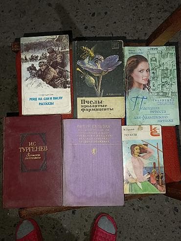 local guide program: Коллекция книг (разные жанры, авторы, издания СССР/РСФСР) Состав — 6