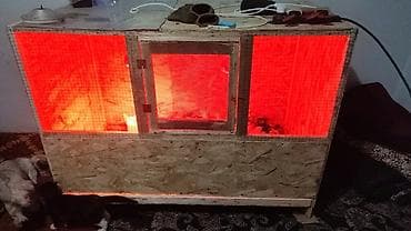 Климатическое оборудование для бизнеса: Многоярусный брудерный стеллаж для выращивания птицы Цена зависит от — 9