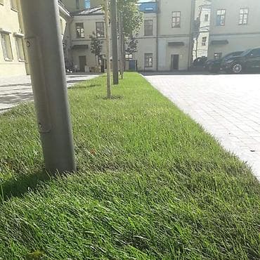 Окна на заказ: Ремонт сантехники Больше 6 лет опыта — 6