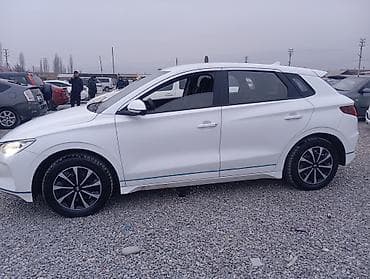 daf 75: BYD E2: 2021 г., Робот, Электромобиль, Внедорожник — 1