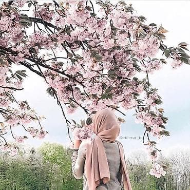 предложение руки: Фотосъёмка | С выездом | Фотосессия — 3