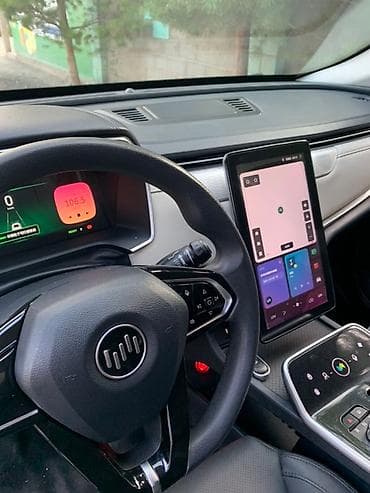 echo platz: Weltmeister EX5, 2021 г., Передний, В наличии — 8