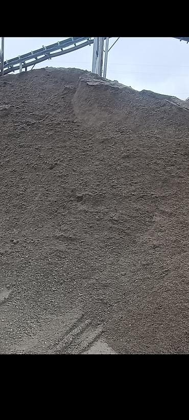 сухой карагач: Отсев Отсев Отсев Отсев Отсев Отсев Отсев Отсев Отсев Отсев Отсев — 2