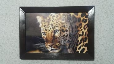 леопардовые вещи: Картина "Леопард". Печать на холсте. декор стены, комнаты. размеры — 2