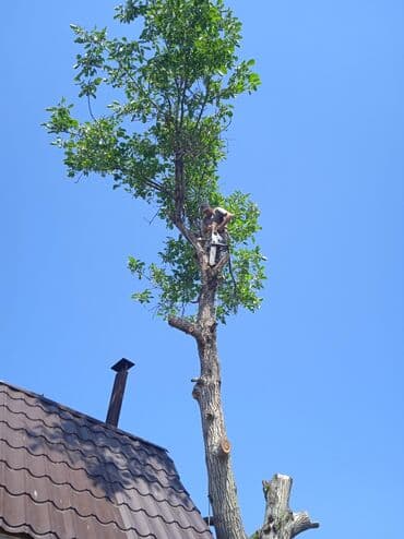 кресло барбер: Профессионально оперативно быстро спил любой сложности. Без выходных — 16