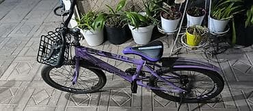 single speed: Детский велосипед, 2-колесный, 9 - 13 лет, Для девочки — 3