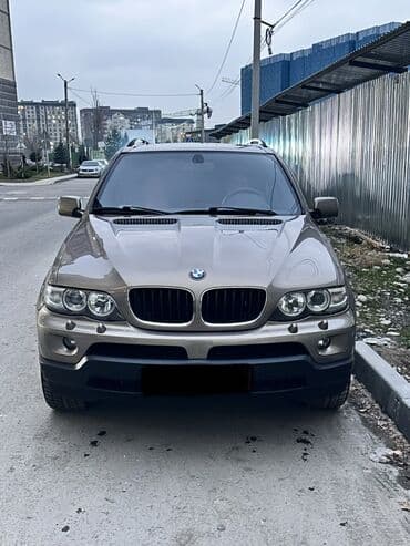 BMW X5: 2005 г., 3 л, Автомат, Дизель, Кроссовер