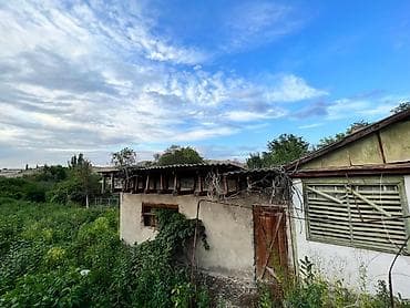 Кыймылсыз мүлк: 5 соток, Кызыл китеп — 3