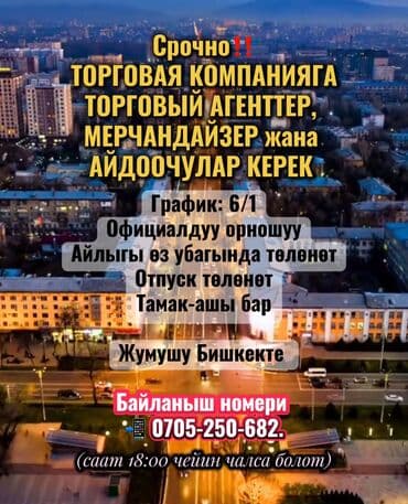 ищу работу вакансии: Срочно‼️ ТОРГОВАЯ КОМПАНИЯГА ТОРГОВЫЙ АГЕНТТЕР, МЕРЧАНДАЙЗЕР жана — 1