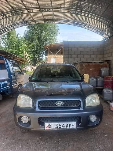 Hyundai Santa Fe: 2002 г., 2.4 л, Кол менен иштөөчү, Бензин, Кроссовер