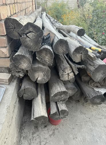 каракол зеркало: Терек сатылат г. Жалал-Абад мкр Спутник 
 1 шт 400c — 2