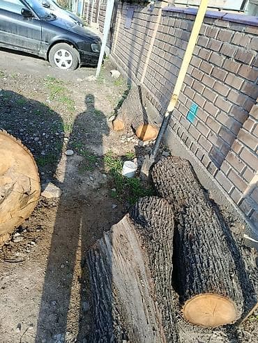 ош леса: Дрова — 4