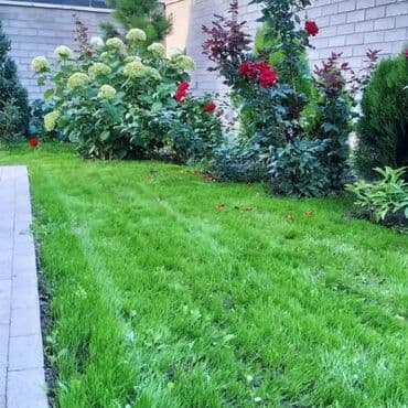 ишу работу охрана: Поссев газон✓ Посадка цветов ✓ Посадка декоративных растений ✓ — 14