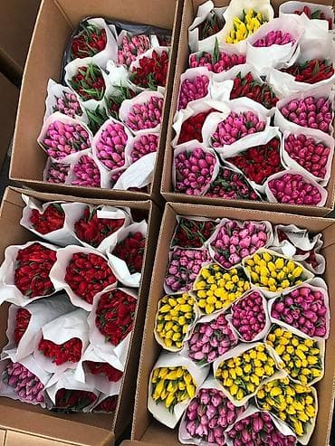 Канцтовары: Тюльпаны срезанные — букетами,корпоративные букеты коллегам на — 2