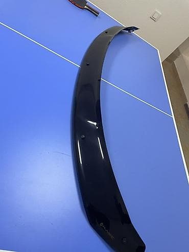 Другие аксессуары: Мухобойка на капот — 1