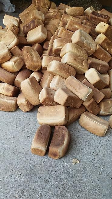 Продаю Хлеб 🍞 есть и сухой и мягкий для скота