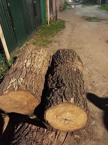 ландшафт: Дрова Самовывоз — 1