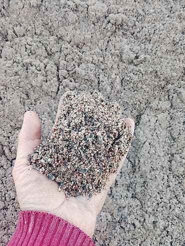 белые грибы: Отсев, Для фундамента, Оптом, В розницу, Камаз — 4