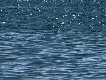 Прогулка на катере по акватории с чистой прозрачной водой поездка на — 1