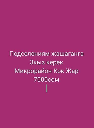 20 м², С мебелью