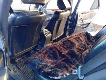 машина k5: Mercedes-Benz C-Class: 1995 г., 2 л, Механика, Газ, Седан — 5