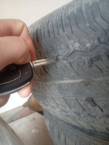 элтз 60: Шиналар 225 / 65 / R 16, Жай, Колдонулган, Комплект, Жеңил коммерциялык транспорт (C/LT), Nexen — 5