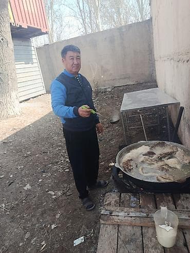 щенки охотничьих собак: Продаю | Кролик самец | Для разведения | Племенные — 3